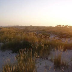 Отель Férias Sol e Praia фото 2