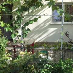 Гостиница Guesthouse Marta Украина, Одесса - отзывы, цены и фото номеров - забронировать гостиницу Guesthouse Marta онлайн фото 8