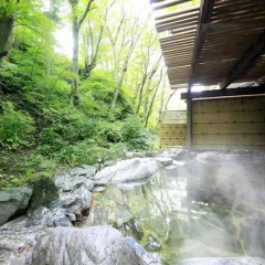 Отель Nasushiobara Bettei Насусиобара бассейн фото 3