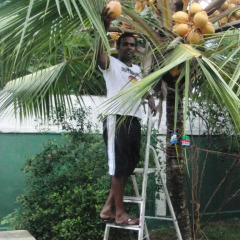 Отель Negombo Village