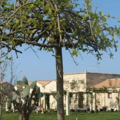 Отель Masseria Copertini Верноле спортивное сооружение