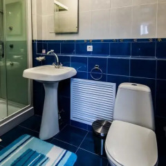 Дон Отель 2* Номер Делюкс разные типы кроватей фото 10