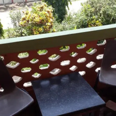 Отель Almond Tree Guest House 3* Номер Делюкс с 2 отдельными кроватями фото 4