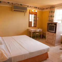 Grand View Beach Hotel 3* Номер Делюкс с различными типами кроватей фото 2