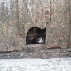Отель El secreto del Castillo Мадеруэло спортивное сооружение