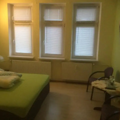 Hotel am Flugplatz Magdeburg комната для гостей фото 5