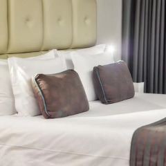Bourbon Alphaville Business Hotel 3* Номер Премьер с двуспальной кроватью фото 4