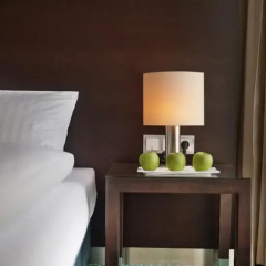 Fleming's Hotel Frankfurt-Messe 4* Номер Комфорт с различными типами кроватей фото 6