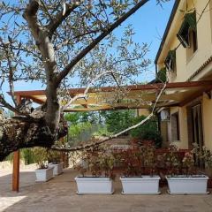 Отель B&B Villa Angela Пьяцца-Армерина