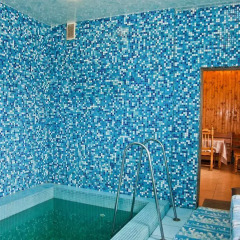 Ligena Econom Hotel сауна