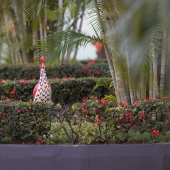 Отель Travellers Palm Court фото 3