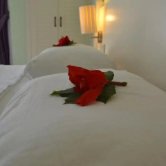 Blue Star Hotel 3* Стандартный номер с различными типами кроватей фото 4