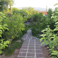 Отель My family B&B Сагмосаван фото 7