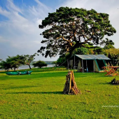 Отель The Yala Camping