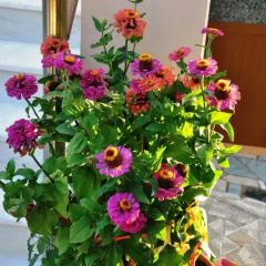 Отель Albanian Happines Guesthouse фото 3