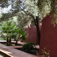 Отель Riad and Villa Emy Les Une Nuits Марокко, Марракеш - отзывы, цены и фото номеров - забронировать отель Riad and Villa Emy Les Une Nuits онлайн фото 4
