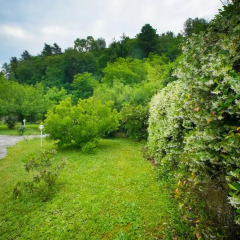 Отель Bed and Breakfast Welcome Сарцана приотельная территория