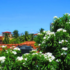 Отель Galle Centre Home Шри-Ланка, Галле - отзывы, цены и фото номеров - забронировать отель Galle Centre Home онлайн фото 4
