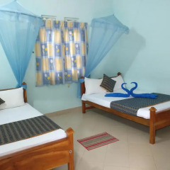 Golden Park Hotel Стандартный номер с различными типами кроватей