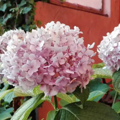Отель B&b Al Giardino Di Alice 2* Стандартный номер фото 25
