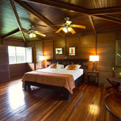 Отель Chachagua Rainforest Ecolodge 3* Стандартный номер с различными типами кроватей фото 16