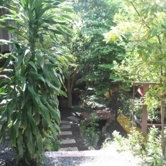Отель Mui Ne Garden Улучшенный номер с различными типами кроватей фото 41