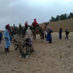 Отель Desert Camel Camp Марокко, Мерзуга - отзывы, цены и фото номеров - забронировать отель Desert Camel Camp онлайн приотельная территория