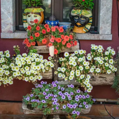 Отель Casa Hibiscus Джардини Наксос фото 2