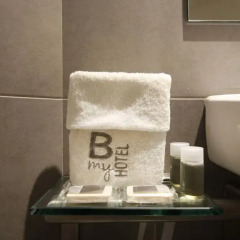 B My Hotel 3* Представительский номер с 2 отдельными кроватями фото 4