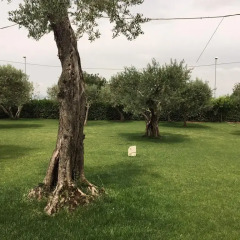 Отель Al Chiaro Di Luna Солофра фото 2