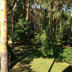 Гостиница Rublevka Inn в Барвихе отзывы, цены и фото номеров - забронировать гостиницу Rublevka Inn онлайн Барвиха фото 2