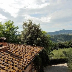 Отель Agriturismo Fattoria La Prugnola Монтескудаио фото 16