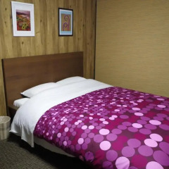City Hotel Bell комната для гостей фото 2