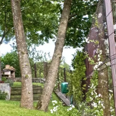 Отель Apartamentos Rurales El Picoretu Испания, Кангас-де-Онис - отзывы, цены и фото номеров - забронировать отель Apartamentos Rurales El Picoretu онлайн фото 6