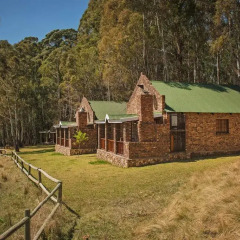 Отель Dunkeld Country Estate детские мероприятия