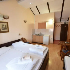 Апартаменты Apartments & Accommodation Stojic Студия фото 3