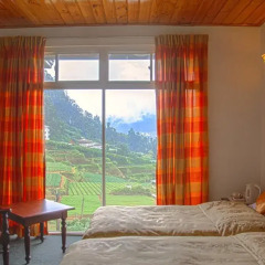 Отель Oakray Summer Hill Breeze 4* Номер Делюкс фото 7
