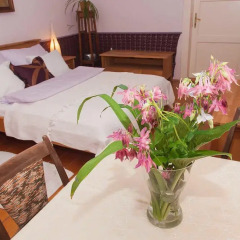 Отель B&B Ivana 2* Номер Делюкс с различными типами кроватей фото 4