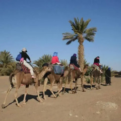 Отель Bivouac Sahara Relax Марокко, Загора - отзывы, цены и фото номеров - забронировать отель Bivouac Sahara Relax онлайн пляж фото 2