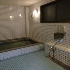 Отель Gasthof Timely Хакуба спа фото 2