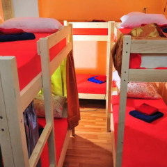 Vega Hostel детские мероприятия фото 2