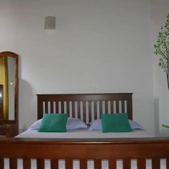 Отель Olive Tree Guest House Стандартный номер с различными типами кроватей фото 3