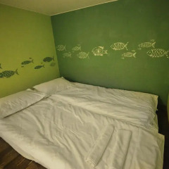 Гостиница Pururoom Hostel в Санкт-Петербурге 6 отзывов об отеле, цены и фото номеров - забронировать гостиницу Pururoom Hostel онлайн Санкт-Петербург детские мероприятия фото 5