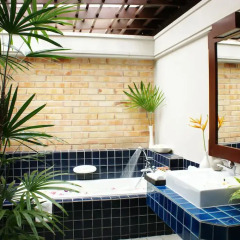 Отель Botany Beach Resort 3* Вилла с различными типами кроватей фото 5