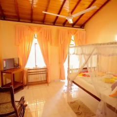 Отель Frangipani Motel 3* Номер Делюкс фото 4