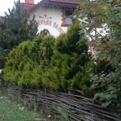 Гостиница Sadyba Karpatska Kazka фото 8