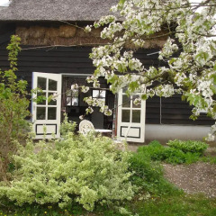 Отель Cornucopia Cottage фото 5