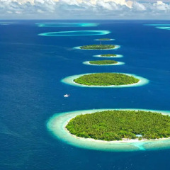 Отель Royal Island Resort And Spa гостиничный бар