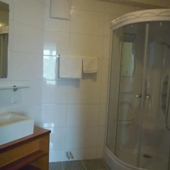 Hotel Schillerhof 2* Номер Комфорт с различными типами кроватей фото 2