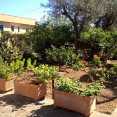 Отель Il Giardino Di Silvia Италия, Палермо - отзывы, цены и фото номеров - забронировать отель Il Giardino Di Silvia онлайн фото 3